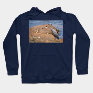 heron at the beach Hoodie